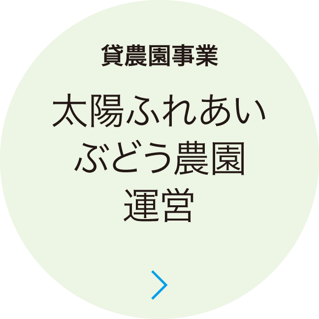 太陽ぶどうふれあい農園運営